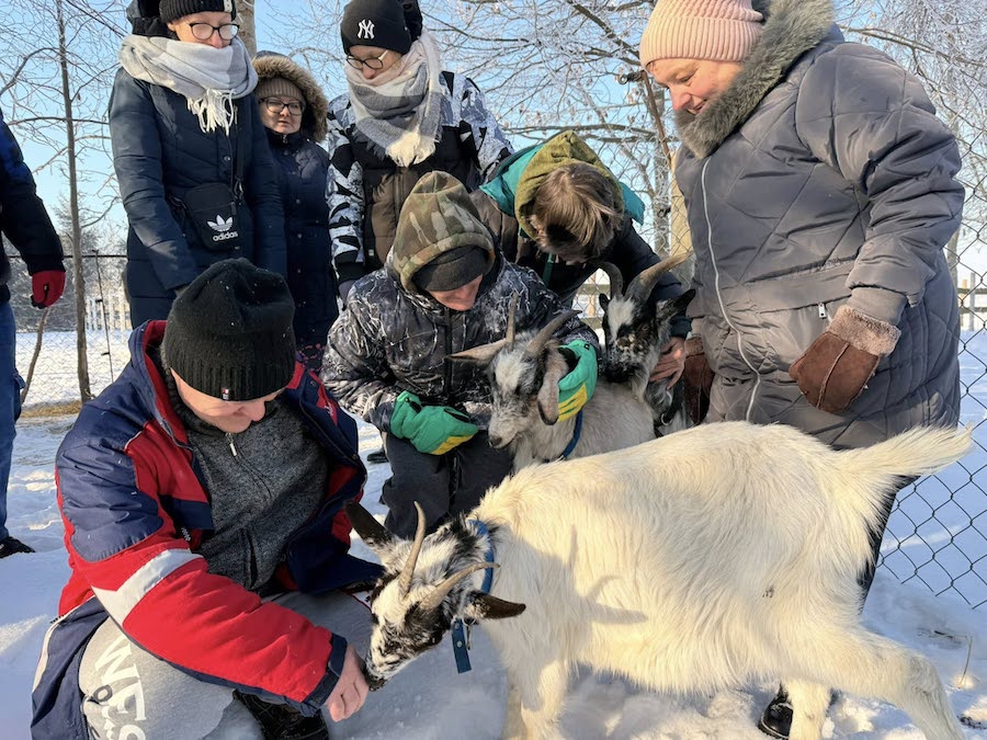 Na kuligu ze zwierzętami